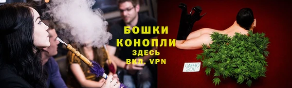 МДПВ Елабуга
