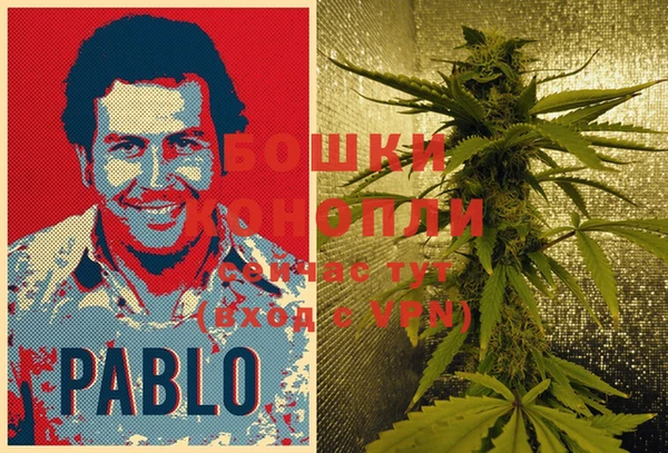 МДПВ Елабуга