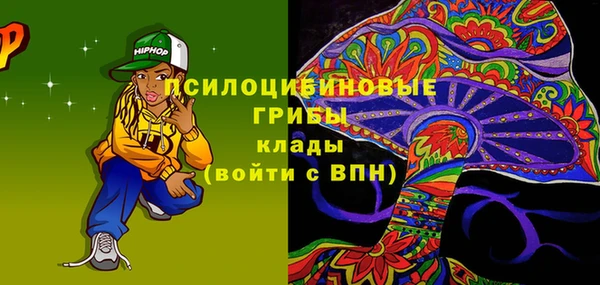 МДПВ Елабуга