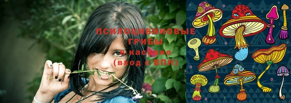 ешки Заводоуковск