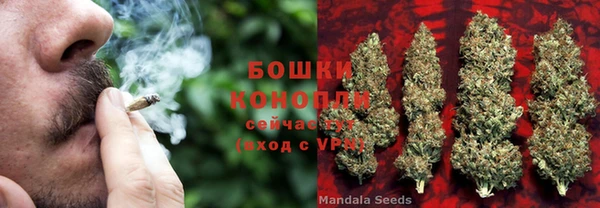 МДПВ Елабуга