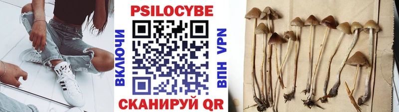 мега ТОР  Юрга  Псилоцибиновые грибы мицелий 